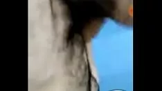 تشغيل Pajasos en الولايات المكسيكية المتحدة