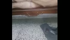 Oynat tırnak onanizmi