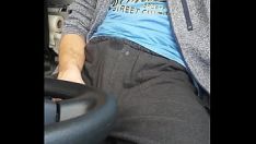 Afspelen Pis in de motortruck