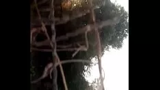 চালান আমি লাল নখের রাজনৈতিক দল এ বিবাহিত মহিলার cnix