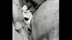 تشغيل Mussy والجلوس الرطب من أكل كائن قط كيتي