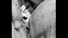 play Mussy والجلوس الرطب من أكل كائن قط كيتي