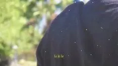 Jouer Le Femboy Ruiner ne peut pas overa en el parque