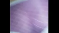 播放 三色堇步入