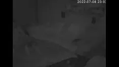 播放 秘密凸轮