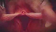 play Wspaniale wymowne usta kocich kotów są elastyczne i bawią się