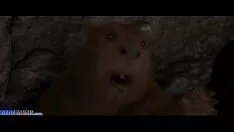 Putar Sejarah narnia si singa sosial si kutukan dan lemari