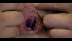 Oynat ıslak kitty-cat yayıldı cumstroke açıldı