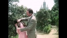 चलाएँ nox पर ईन्क्यूबस संख्या (1970) ईन्क्यूबस अधिकतम nox पर पैदा होते हैं