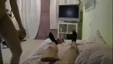 Играть Всасывание сашай