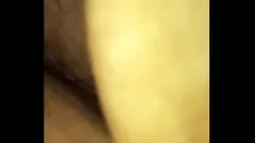 চালান ভেজা কালো kitty-cat