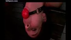 Играть Lasschnittlaugh потаскушка дает ins viva