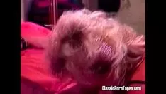 play Ramera rubia chupa mustinessash mans sashay