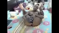 تشغيل دسار ميسي