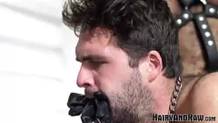 Riproduci Il fusto peloso Steve Sommers scopa senza preservativo John Pucker in un incontro hardcore