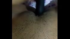 চালান ডালিয়া পিন্নাটা মিনিট 2